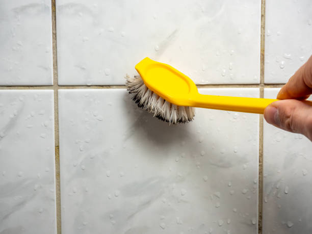 Best Commercial Mold Removal  in Buffalo Center, IA